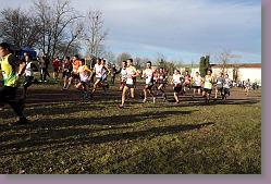 Begles 15.12.13 01 1018 * 679 x 453 * (162KB)